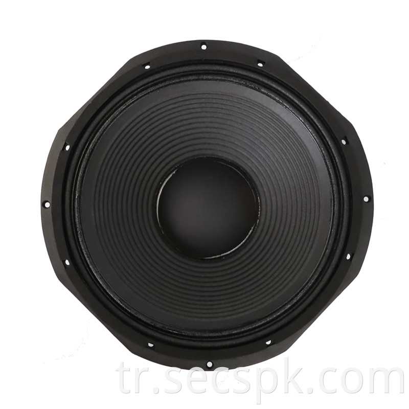 High Quality Audio Pa Speaker